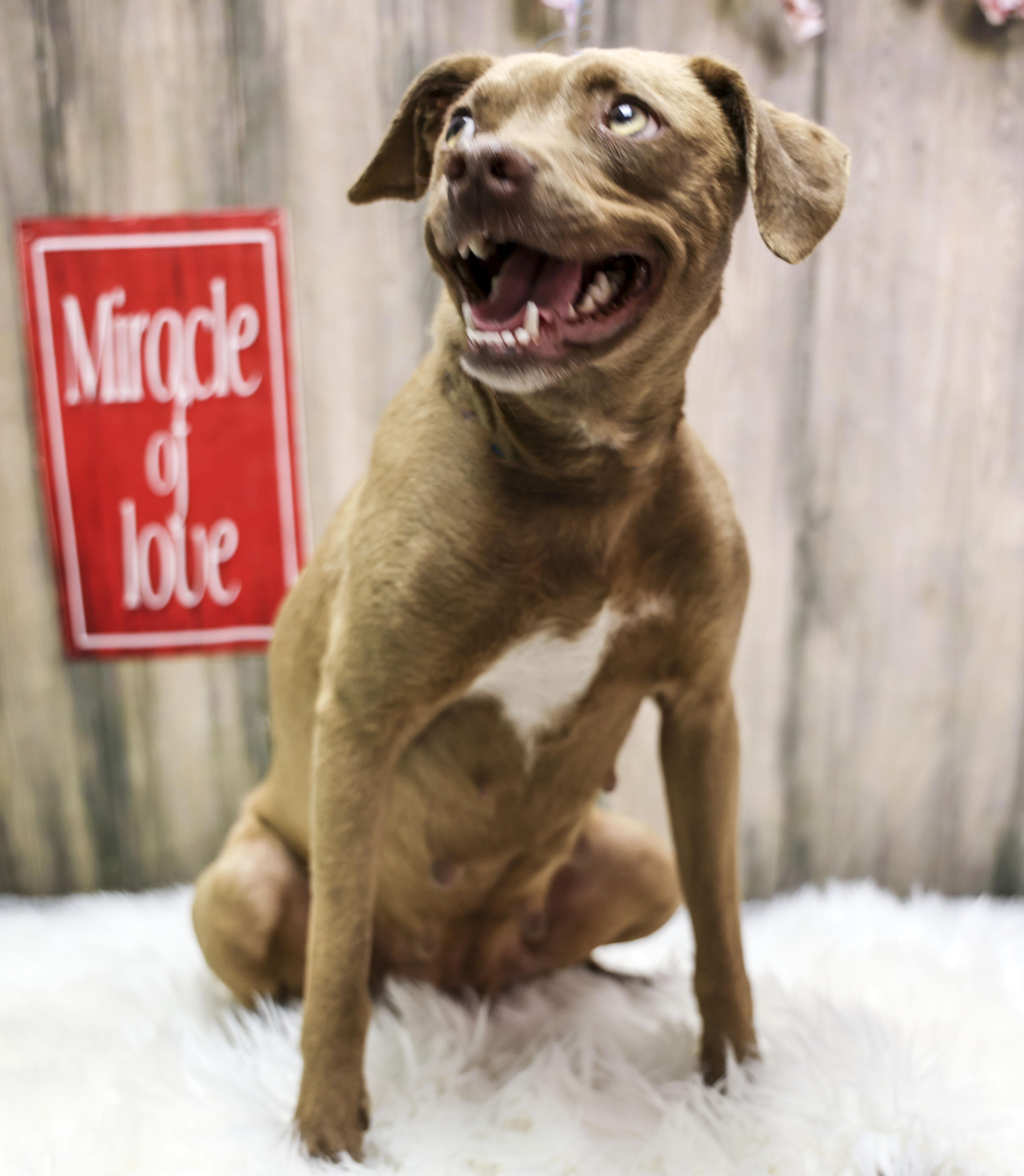 Mama Helen thumbnail 5