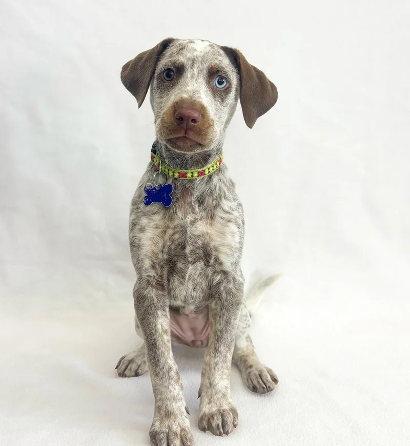 Pop Rocks thumbnail 3