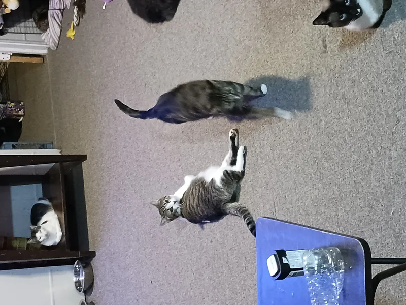 Peyton & Brooke thumbnail 2