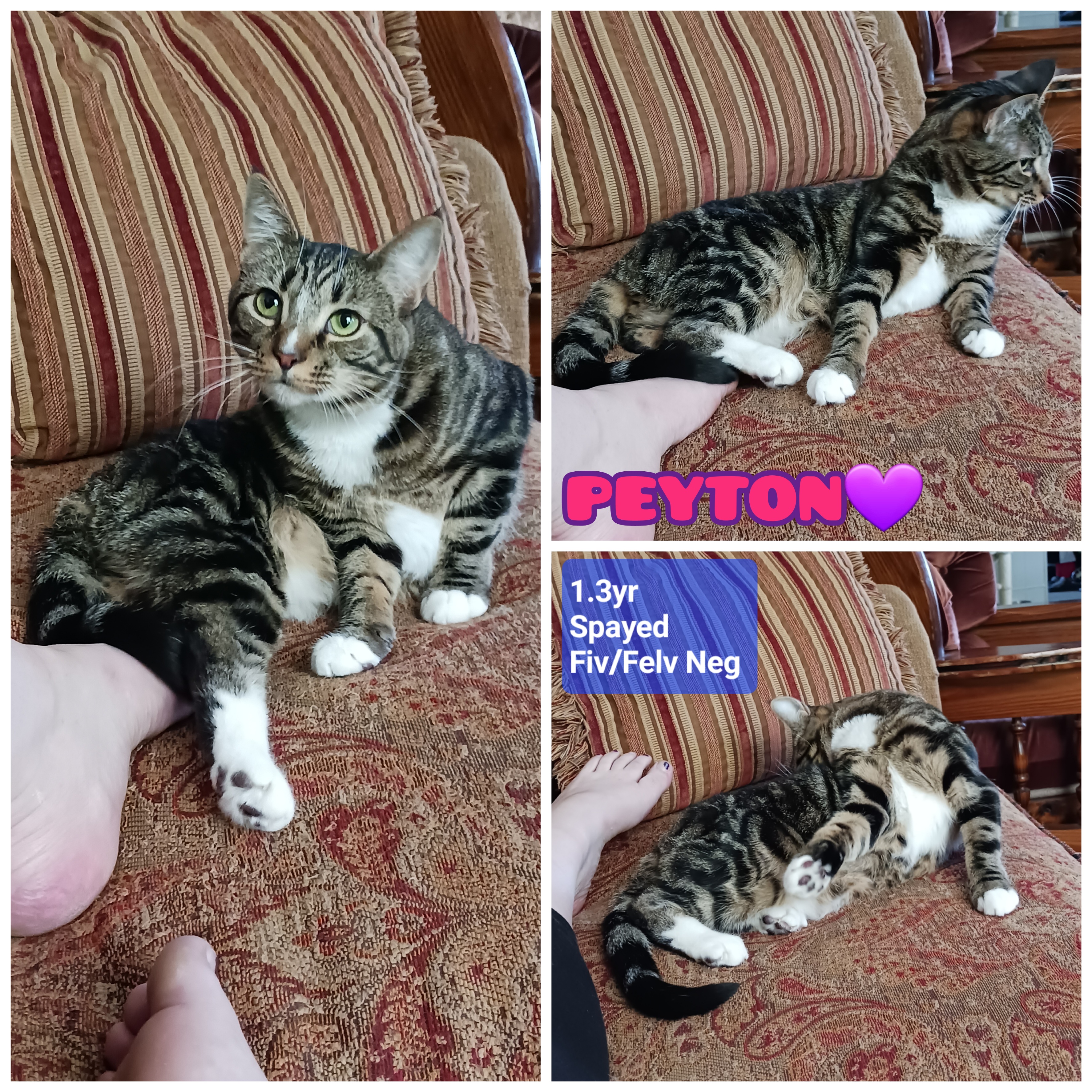 Peyton & Brooke thumbnail 3