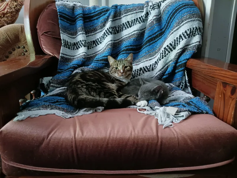 Peyton & Brooke thumbnail 4