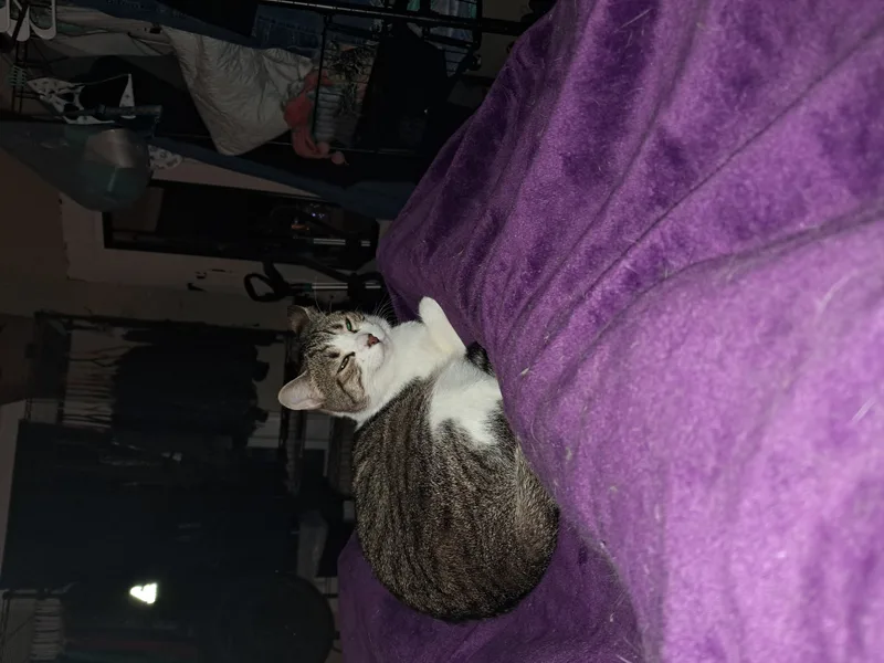 Peyton & Brooke thumbnail 5