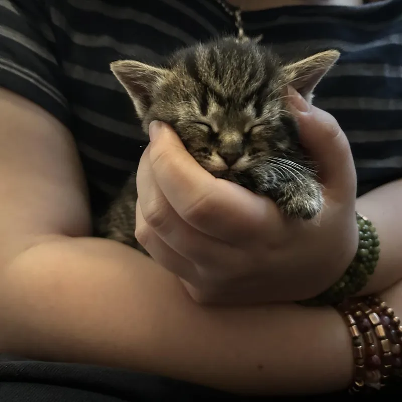 Leia thumbnail 4