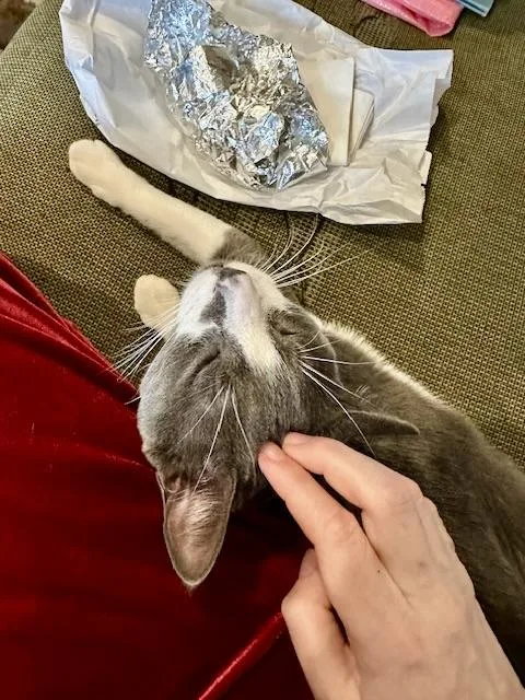 Delancey thumbnail 5