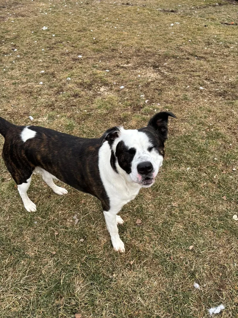 Lightning thumbnail 2