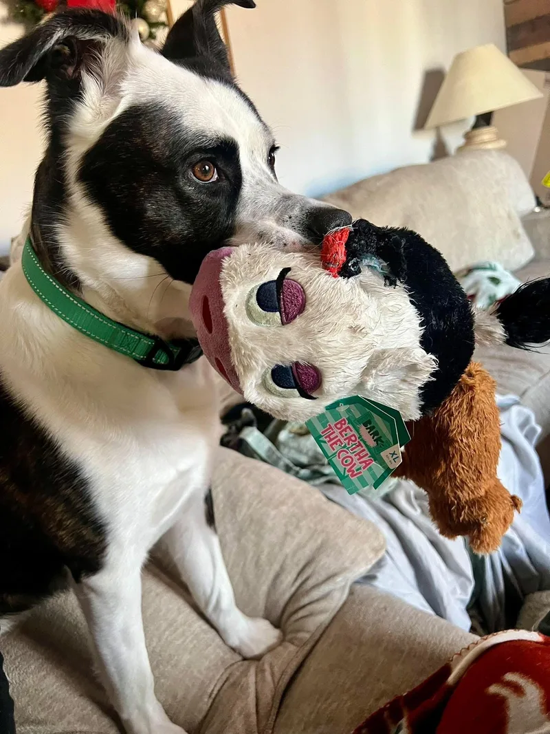 Lightning thumbnail 3