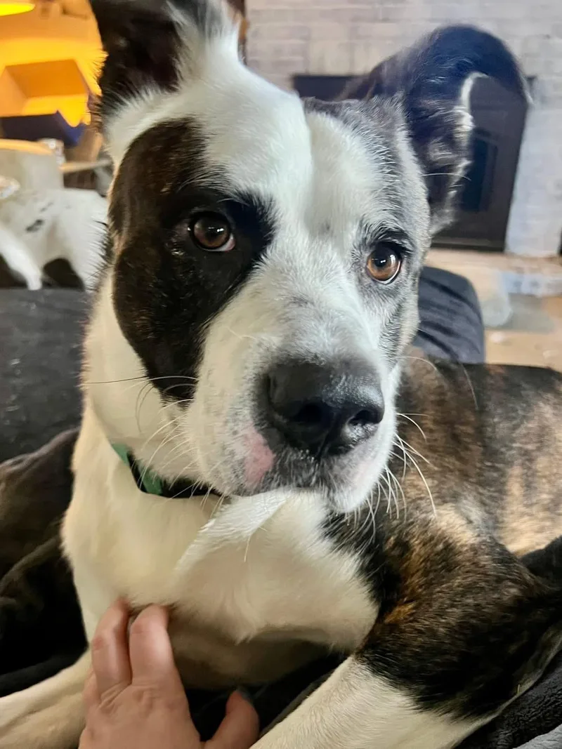 Lightning thumbnail 4