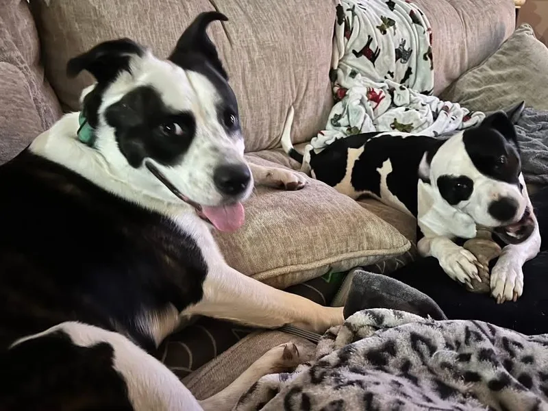 Lightning thumbnail 5