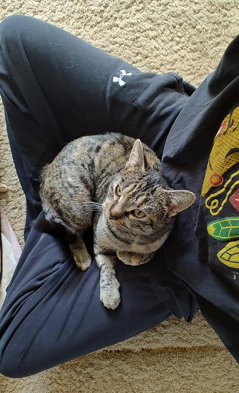 Polly Pocket thumbnail 5