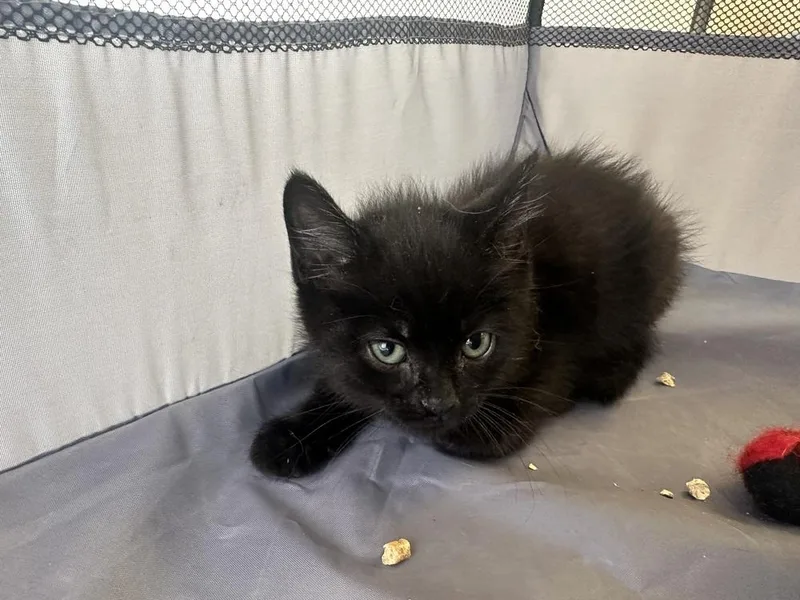 Bergance thumbnail 2