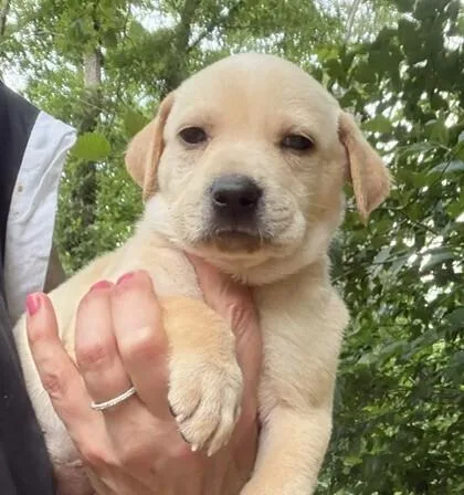 Babe Tuffy thumbnail 4