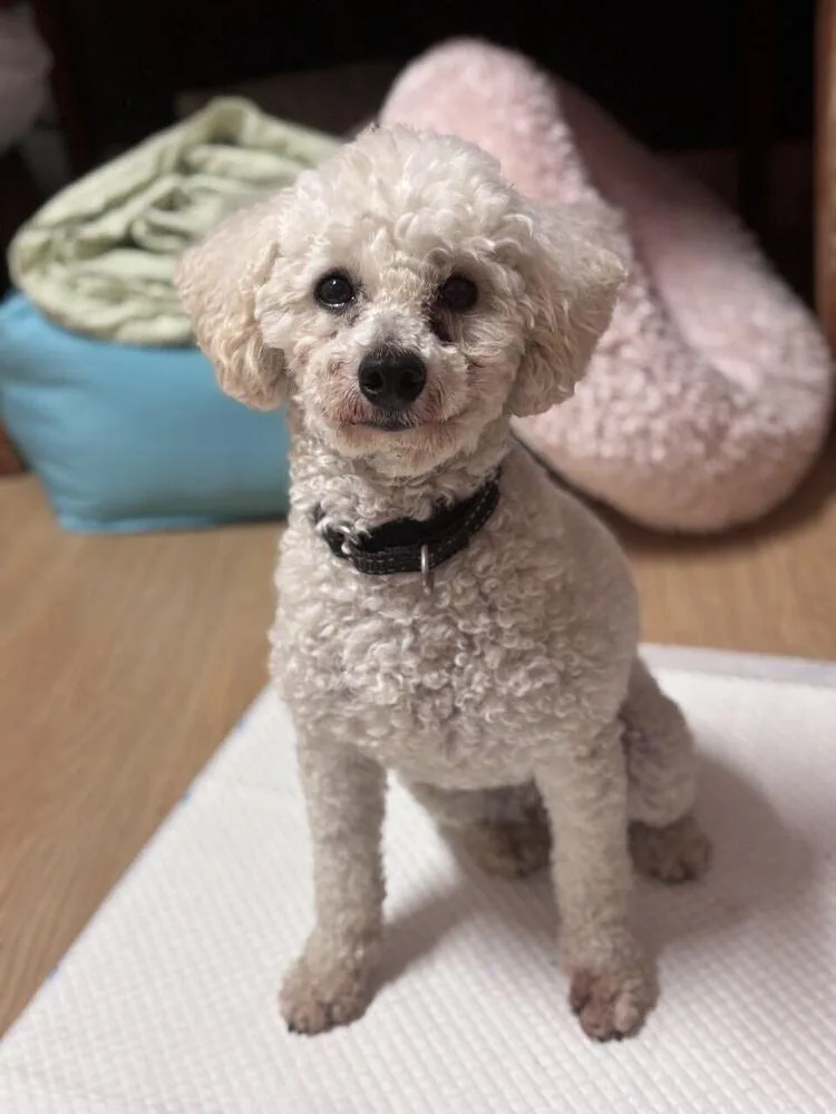 Roxy