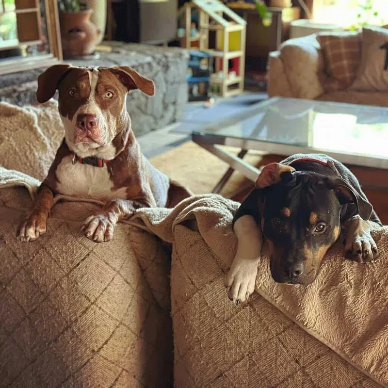 Kevin Cl thumbnail 2