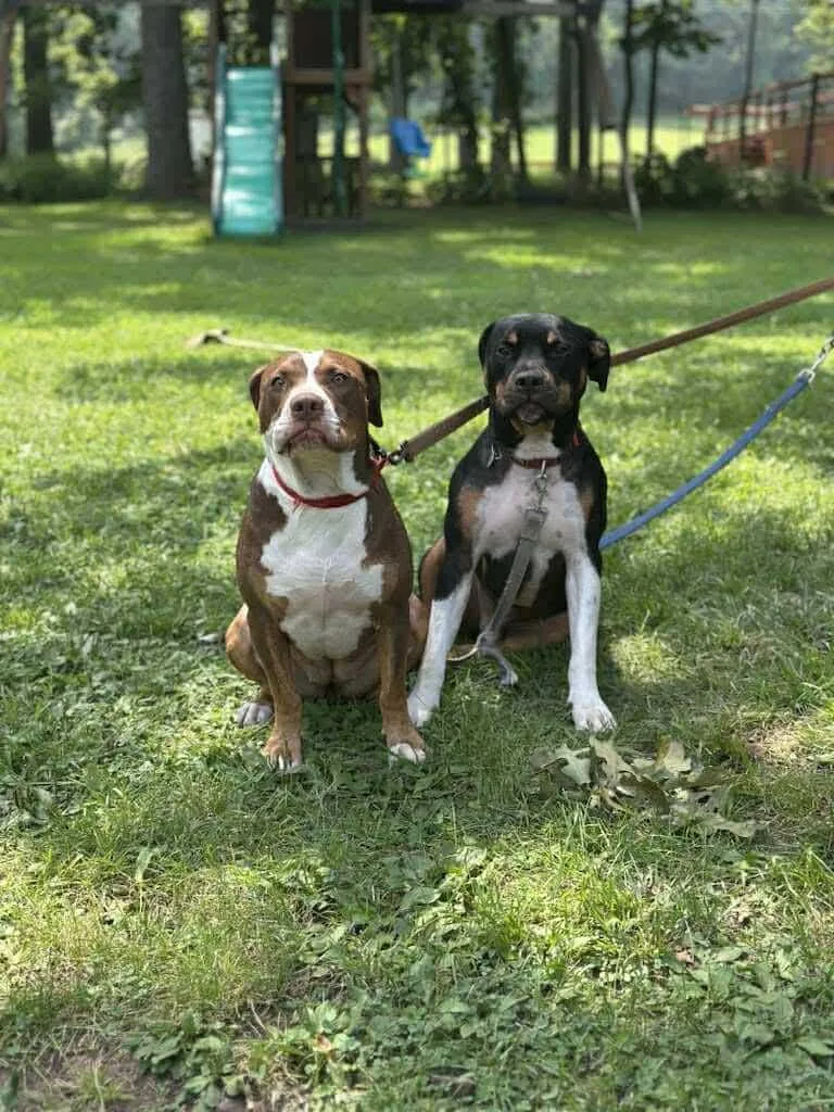 Kevin Cl thumbnail 3