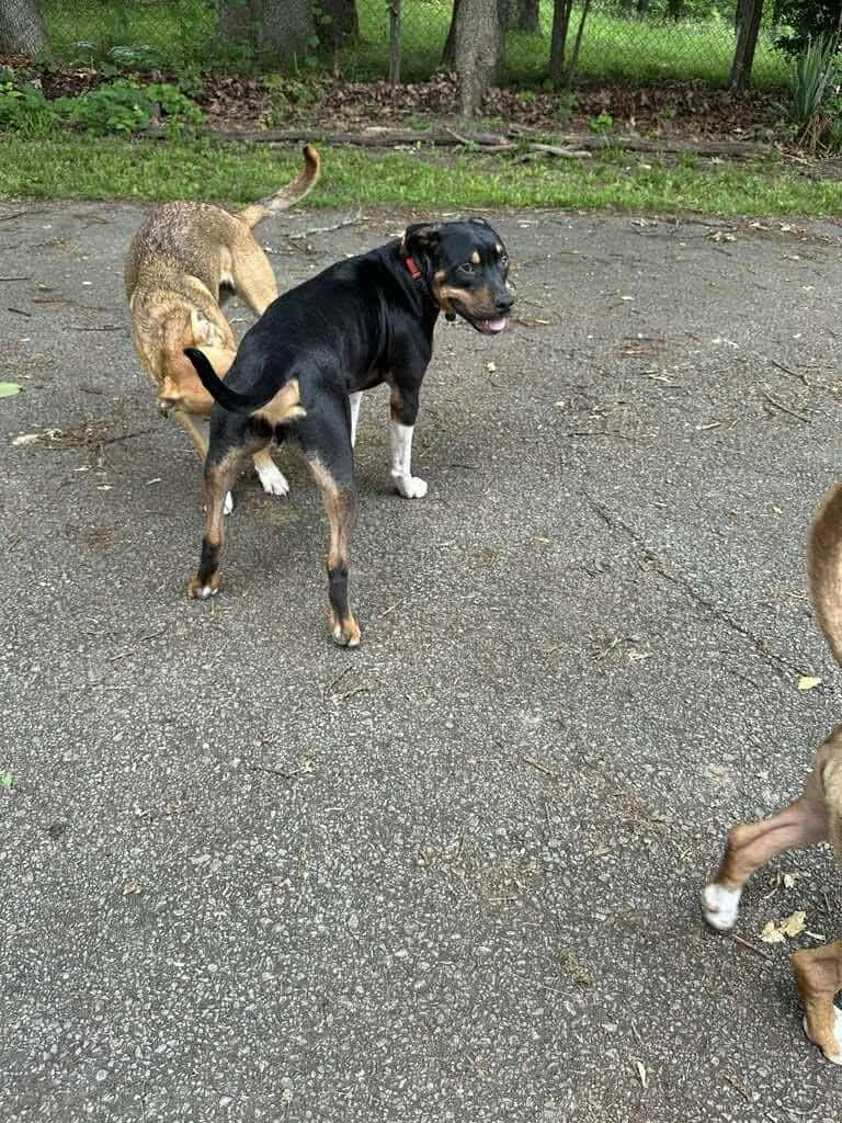 Kevin Cl thumbnail 4