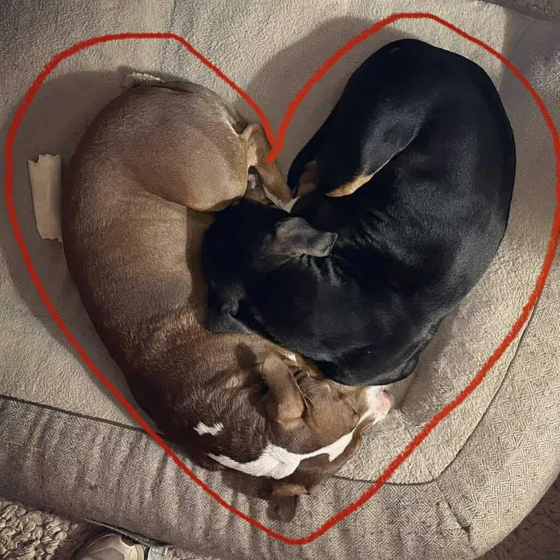 Kevin Cl thumbnail 5