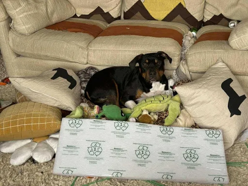 Kevin Cl thumbnail 6