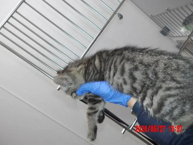 Linda thumbnail 2