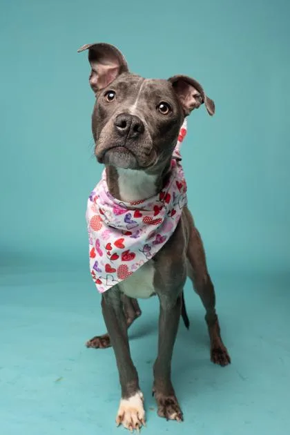 Bing Bong thumbnail 3