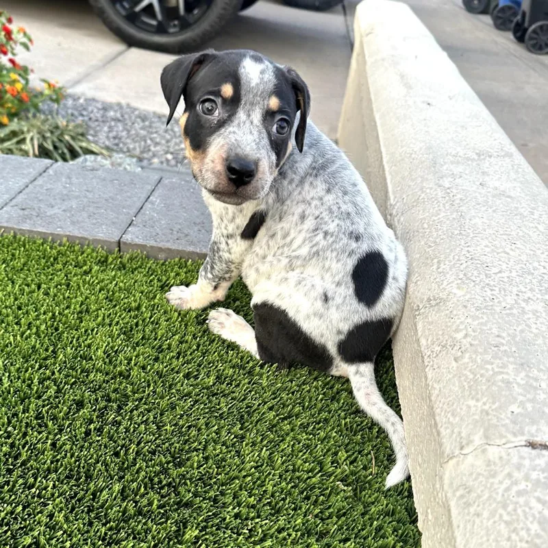 Timmy Aka Crosby thumbnail 2