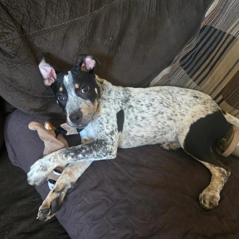 Timmy Aka Crosby thumbnail 3