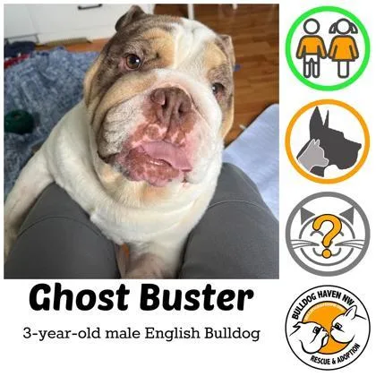 Ghost Buster thumbnail 3