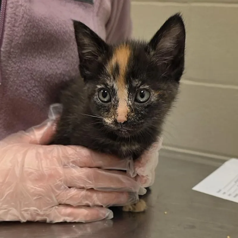 Granola Bar  Visit thumbnail 2