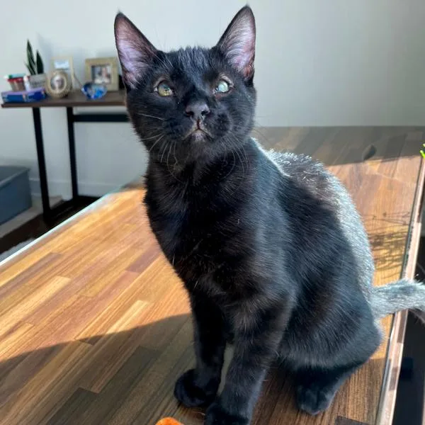 Ben  Bonded Buddy thumbnail 4