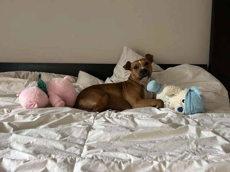 Rosalina thumbnail 4