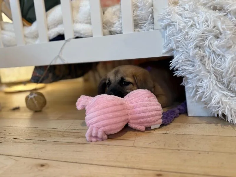 Nala Lovey Baby thumbnail 2