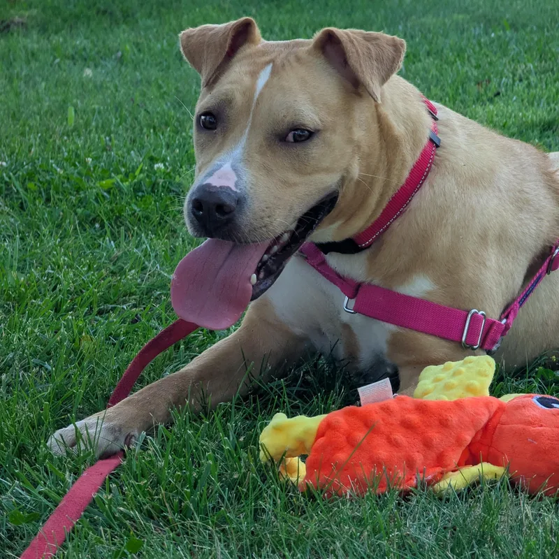Nyla thumbnail 2