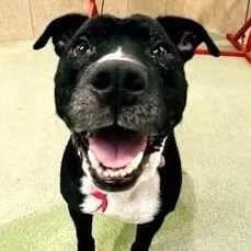 Miapure Live And Joy thumbnail 2