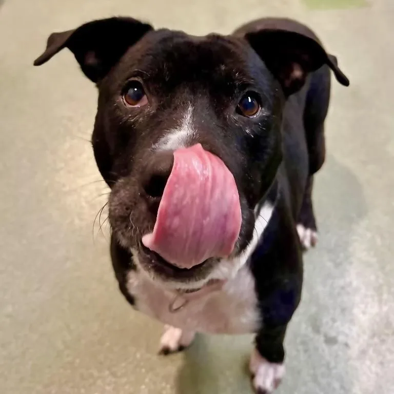 Miapure Live And Joy thumbnail 3