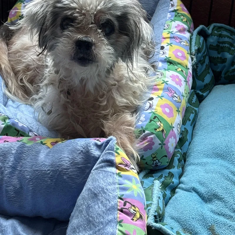 Charlie