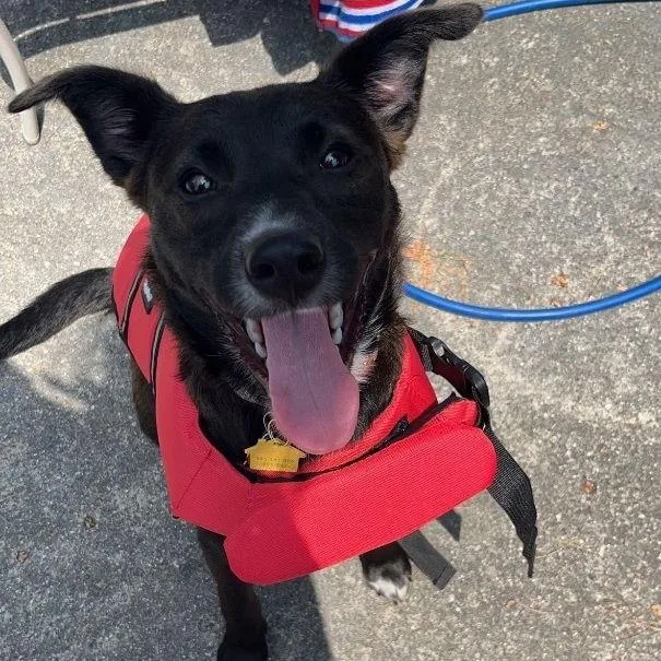 Zz Baby Ari~ Courtesy