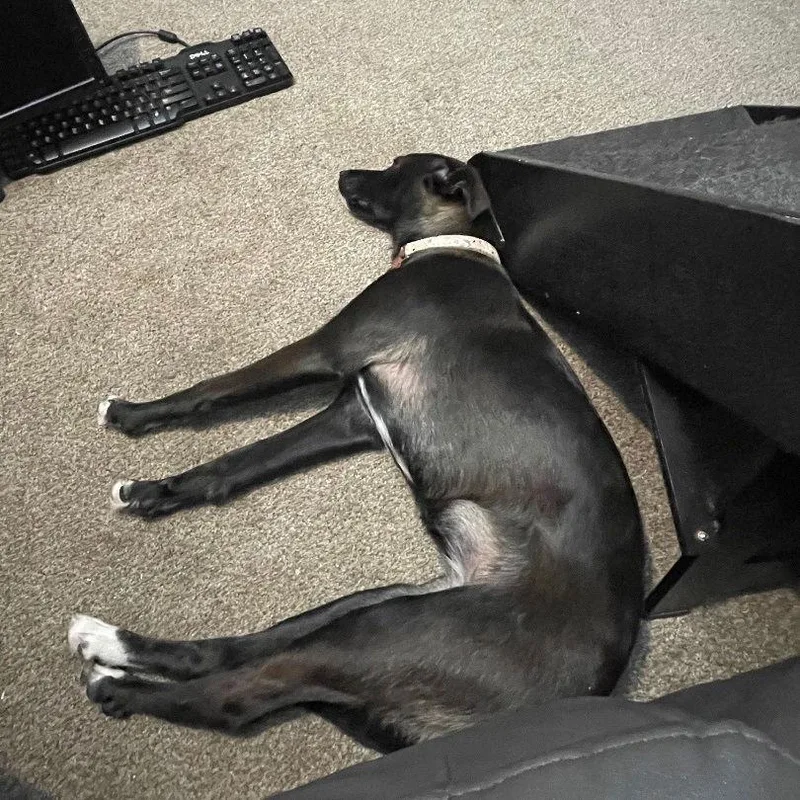 Zz Baby Ari~ Courtesy thumbnail 2