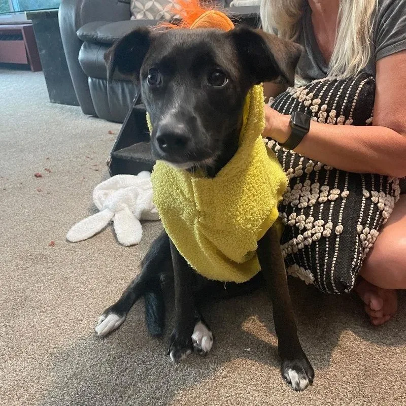 Zz Baby Ari~ Courtesy thumbnail 3