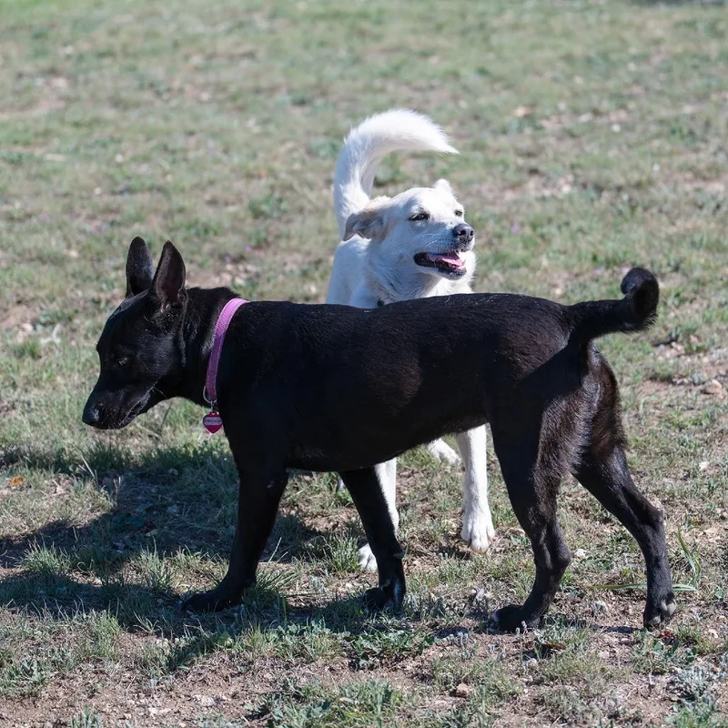 Esmerelda thumbnail 2