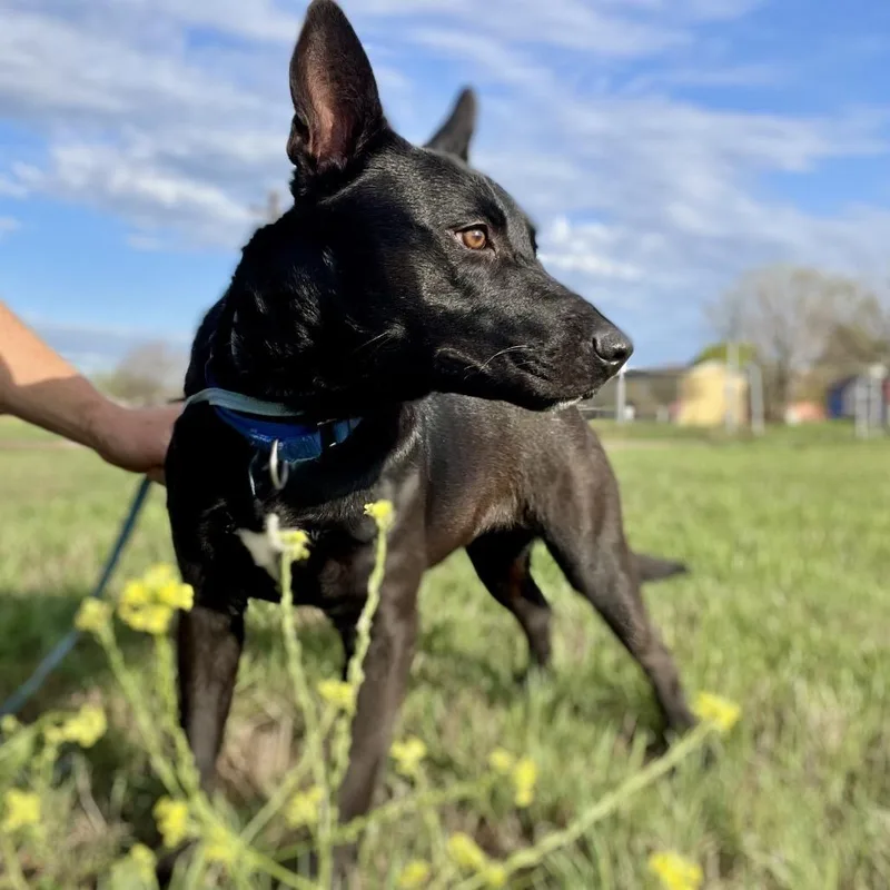 Esmerelda thumbnail 3