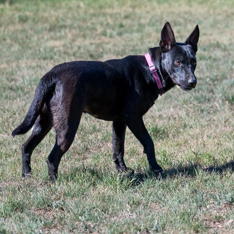 Esmerelda thumbnail 4