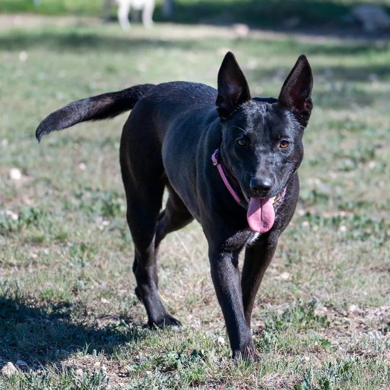 Esmerelda thumbnail 6