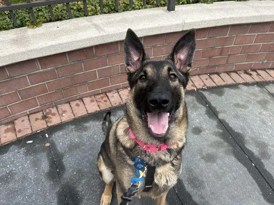 Lafayette thumbnail 3