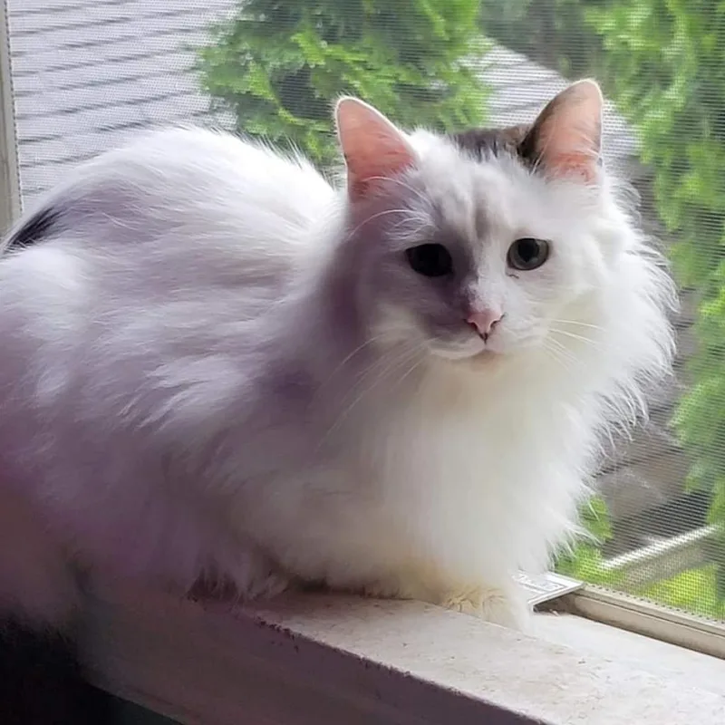 Smithers thumbnail 2