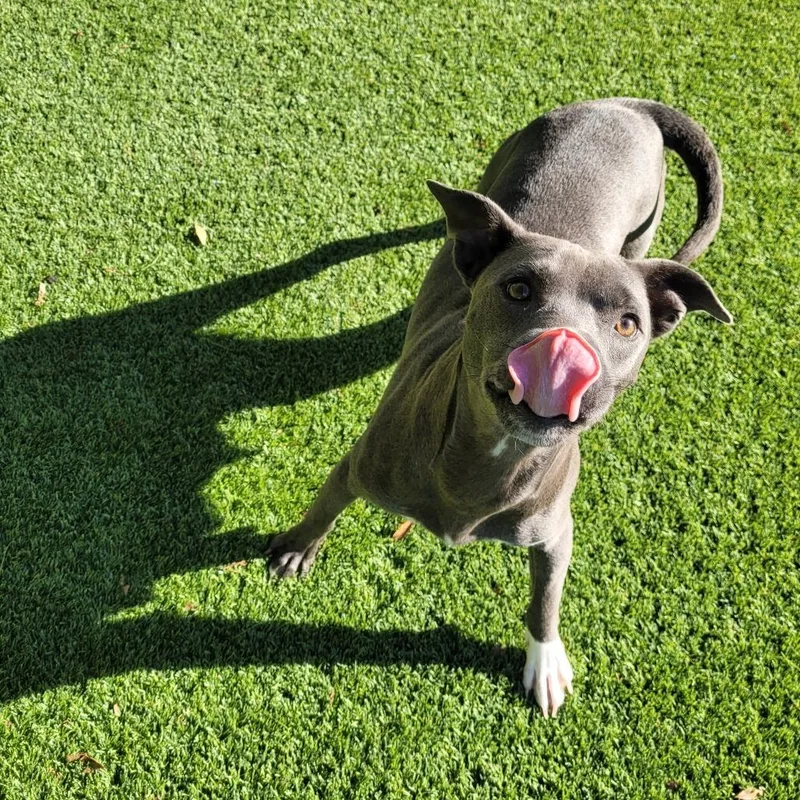 Moonstruck thumbnail 2