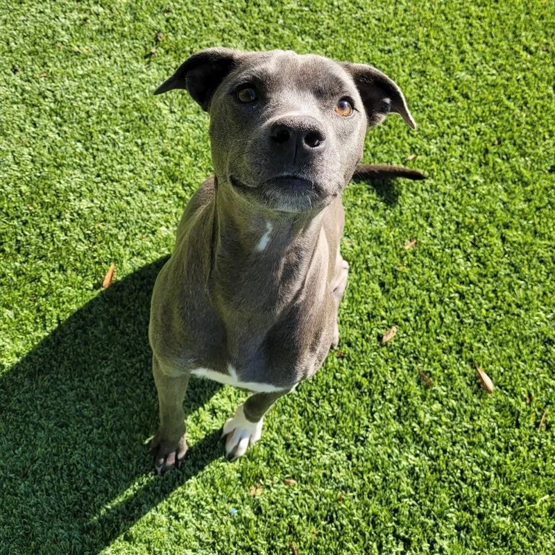 Moonstruck thumbnail 3