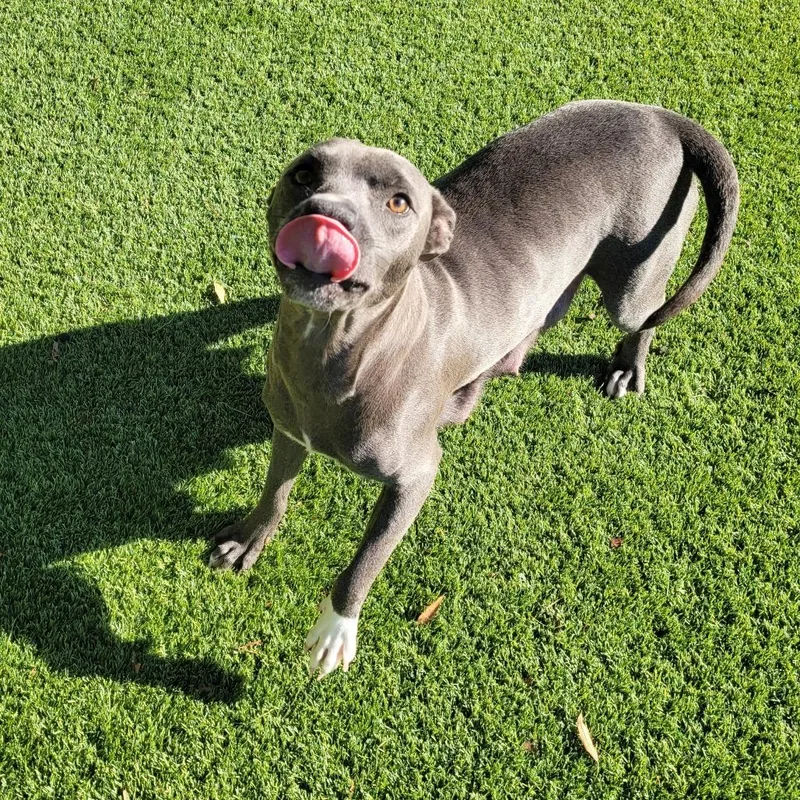 Moonstruck thumbnail 4