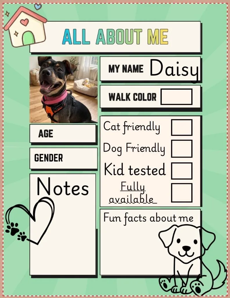 Daisy thumbnail 5