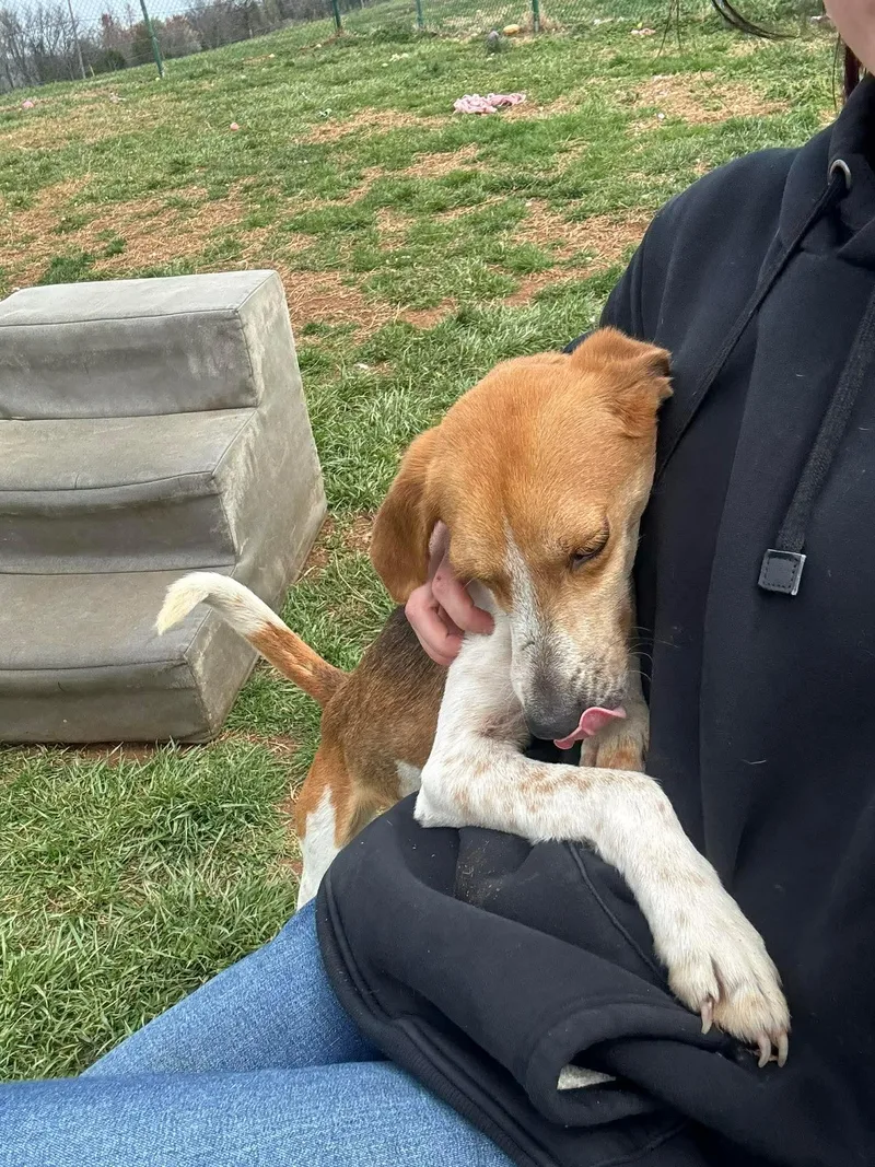 Mrs. Wigglesworth thumbnail 2