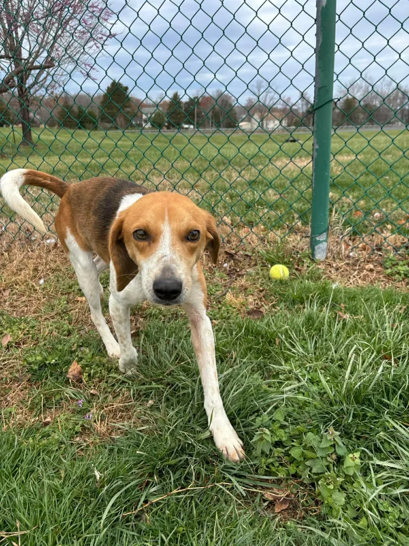 Mrs. Wigglesworth thumbnail 4