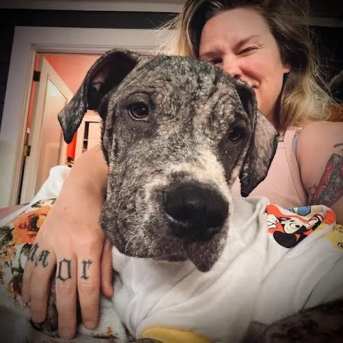 Primrose